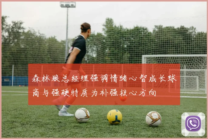 森林狼总经理强调情绪心智成长球商与强硬特质为补强核心方向