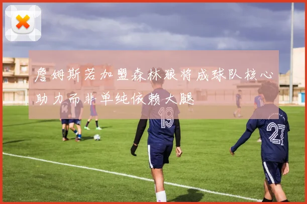 詹姆斯若加盟森林狼将成球队核心助力而非单纯依赖大腿